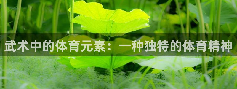 谈球吧体育：武术中的体育元素：一种独特的体育精神