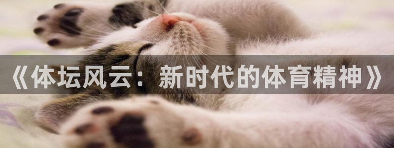 谈球吧体育：《体坛风云：新时代的体育精神》