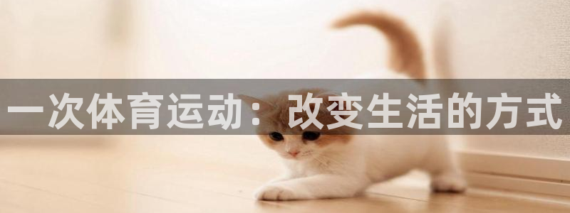 谈球吧：一次体育运动：改变生活的方式