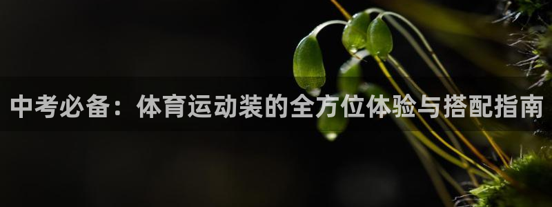 谈球吧体育：中考必备：体育运动装的全方位体验与搭配指南