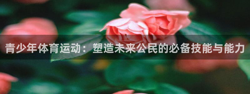 谈球吧：青少年体育运动：塑造未来公民的必备技能与能力