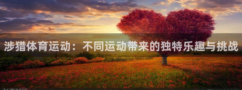 谈球吧体育：涉猎体育运动：不同运动带来的独特乐趣与挑战