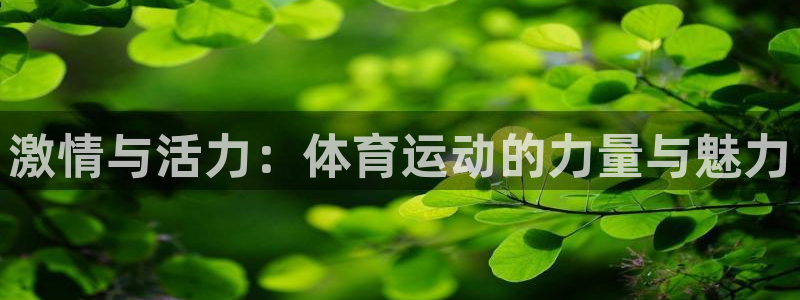 谈球吧：激情与活力：体育运动的力量与魅力