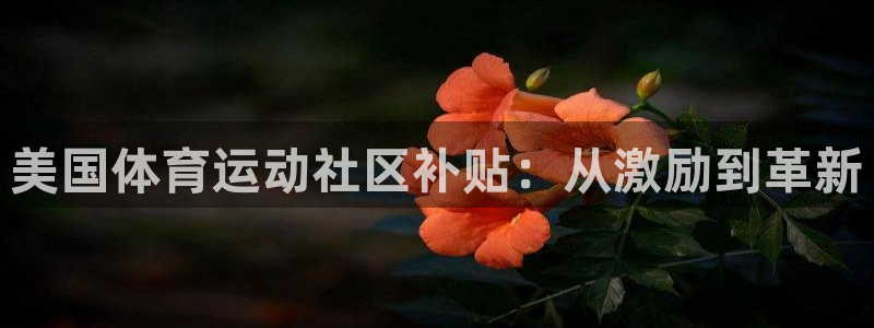 谈球吧体育官网：美国体育运动社区补贴：从激励到革新