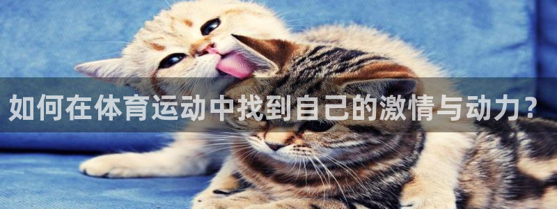 谈球吧体育：如何在体育运动中找到自己的激情与动力？