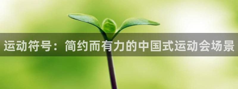 谈球吧体育：运动符号：简约而有力的中国式运动会场景